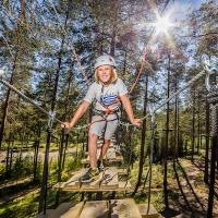 Vuokatin seikkailupuisto