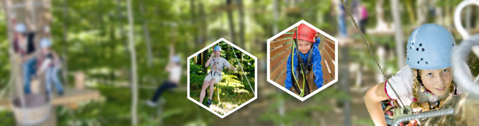 Seikkailupuisto Huimassa liikutaan latvuksissa 